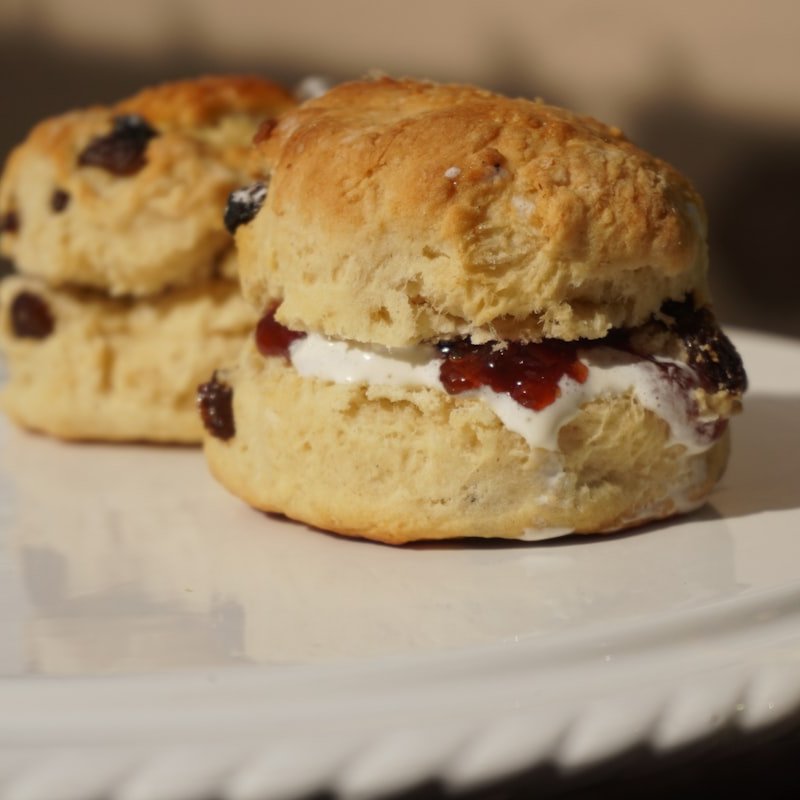 CocoMia Scone